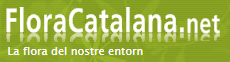 logo du site flora catalana